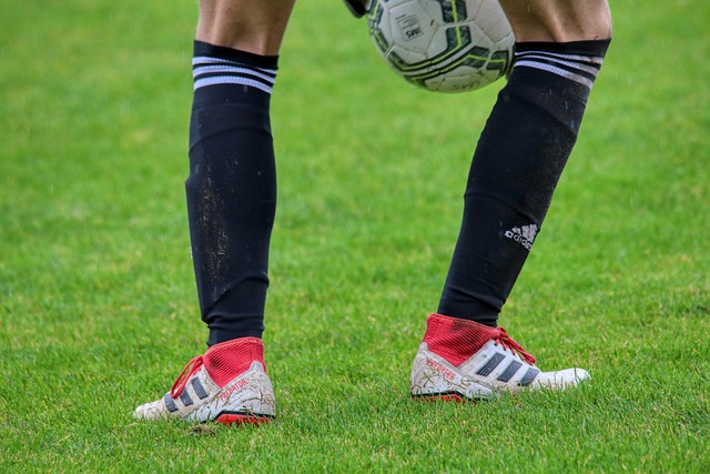 快船连胜篮网，篮下双塔稳定发挥，四大利好与一大困扰.